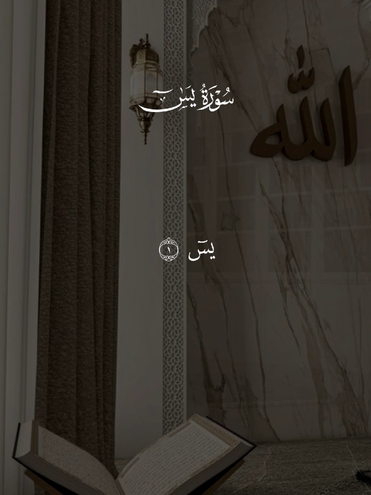 سورة يس 🤍🎧 #قران #quran #قران_كريم #quran_alkarim #القران_الكريم 