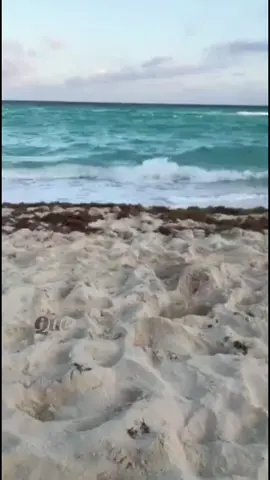 🤎AMOR EN LA PLAYA🤎 #paratiiiiiiiiiiiiiiiiiiiiiiiiiiiiiii #paratii #playa 