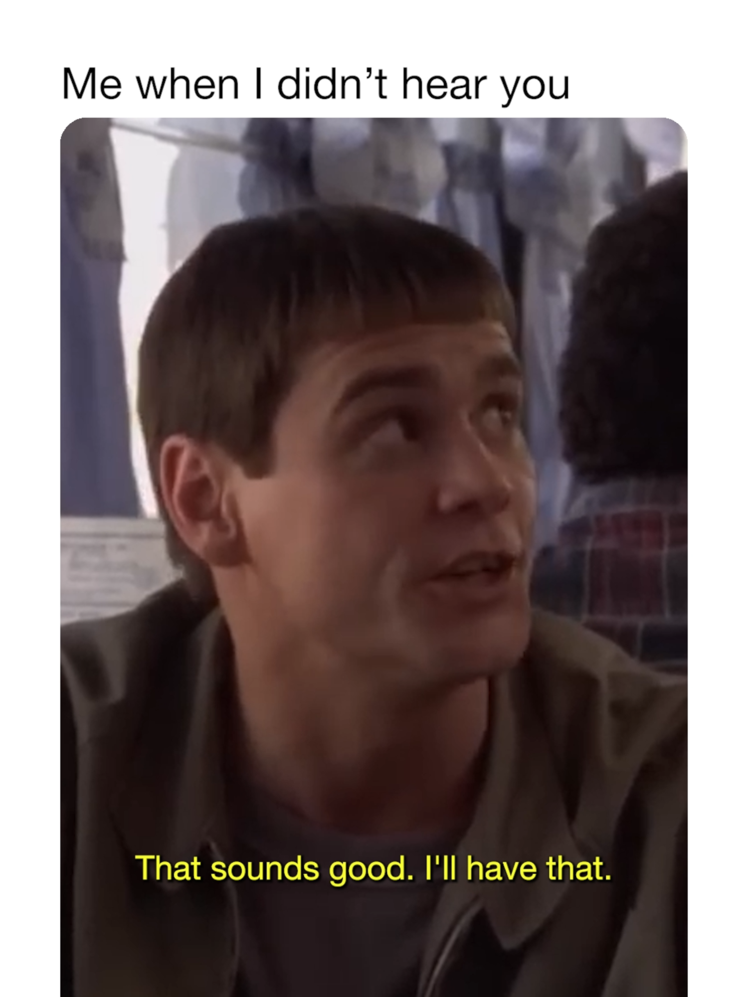 Oh yeah yeahhhh totallytotally that makes sense let's do that #dumbanddumber #jimcarrey #JeffDaniels #moviememes #ebaumsworld
