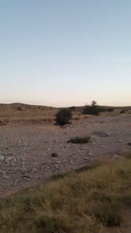 #جلفة_مسيلة_بوسعادة_لغواط_بسكرة  #اولادنايل_كامل_هنا👈👈👈حركةاك  #شعب_الصيني_ماله_حل😂😂 