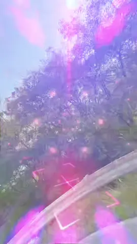 #roadtrip #fyp #tiktok #BestFriends #makingmemories 