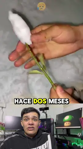 Mira lo que hizo con la nieve #nieve #hacer #rosa #petalo #hombre 
