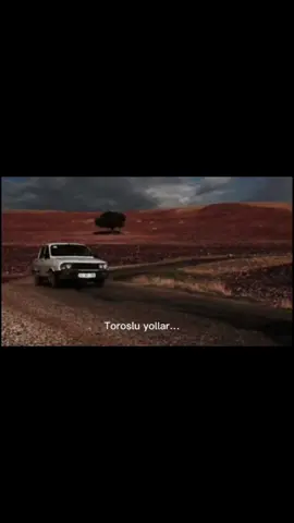 #toros #torosluyollar 