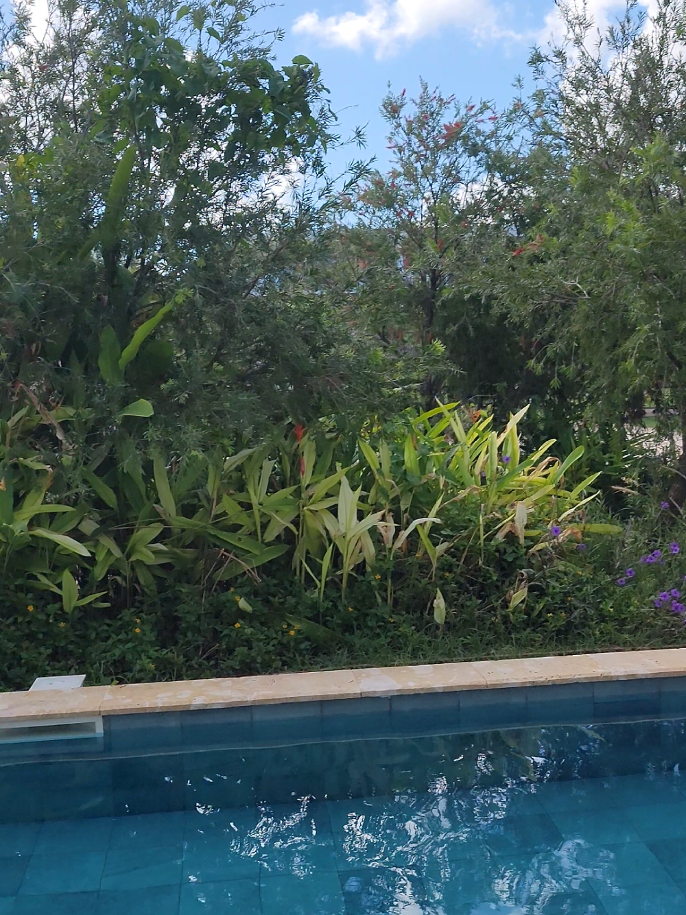 #puntacana #birthday #virgo #samsung 