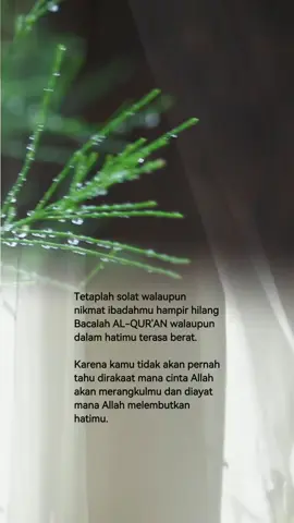 Ya Allah, kuatkan lah kami agar selalu Istiqomah dijalan-Mu #CapCut #ikhlas #bewithyou #cinematic #katakata 