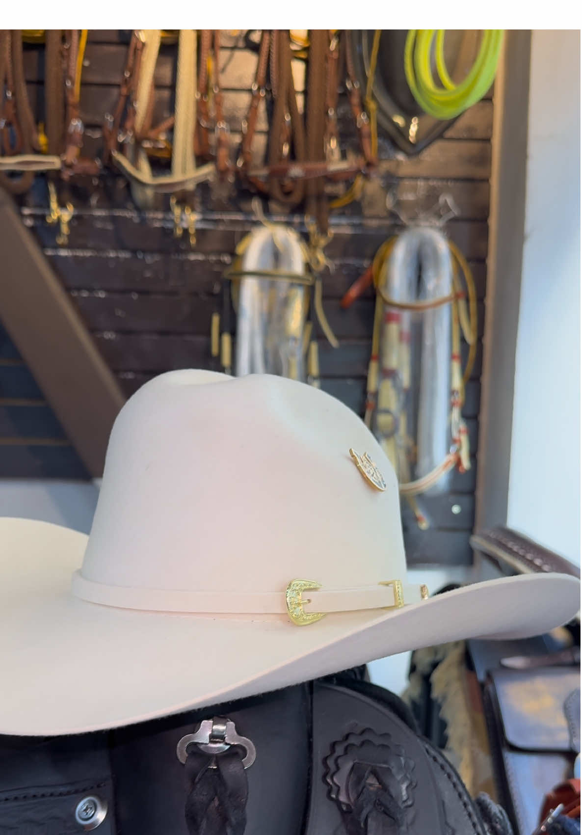 Por qué tu caballo merece EXCELENCIA! 🐴 Pregunta por tu accesorio favorito ✨ #Caballocolombiano #Talabarteria #Sombrerocolombiano #Experienciaequina #mundoequino 