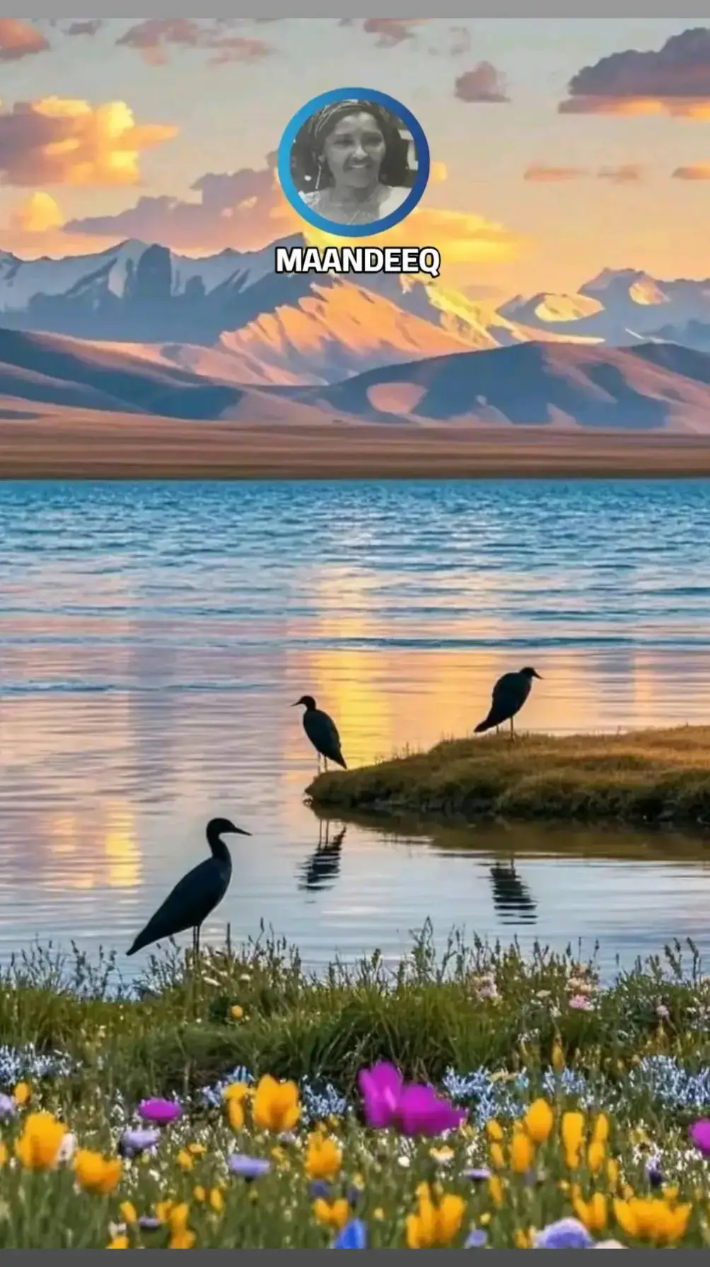 #fankiihore🙏🥰 #ŹÀĶÍƁÒÝ #somalitiktok 