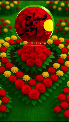 #اللهم_آمين_يارب_العالمــــــين #صباحكم_سعادهـ🌸🍃 