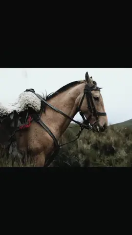 Mi caballo tan corredor 🐎🤠❤️🏔️, #paratiiiiiiiiiiiiiiiiiiiiiiiiiiiiiii #dale❤️ #hermanoscando #chagrasecuador❤🐂🐎 #chagras_x_herencia🐂🍻🤠😍 