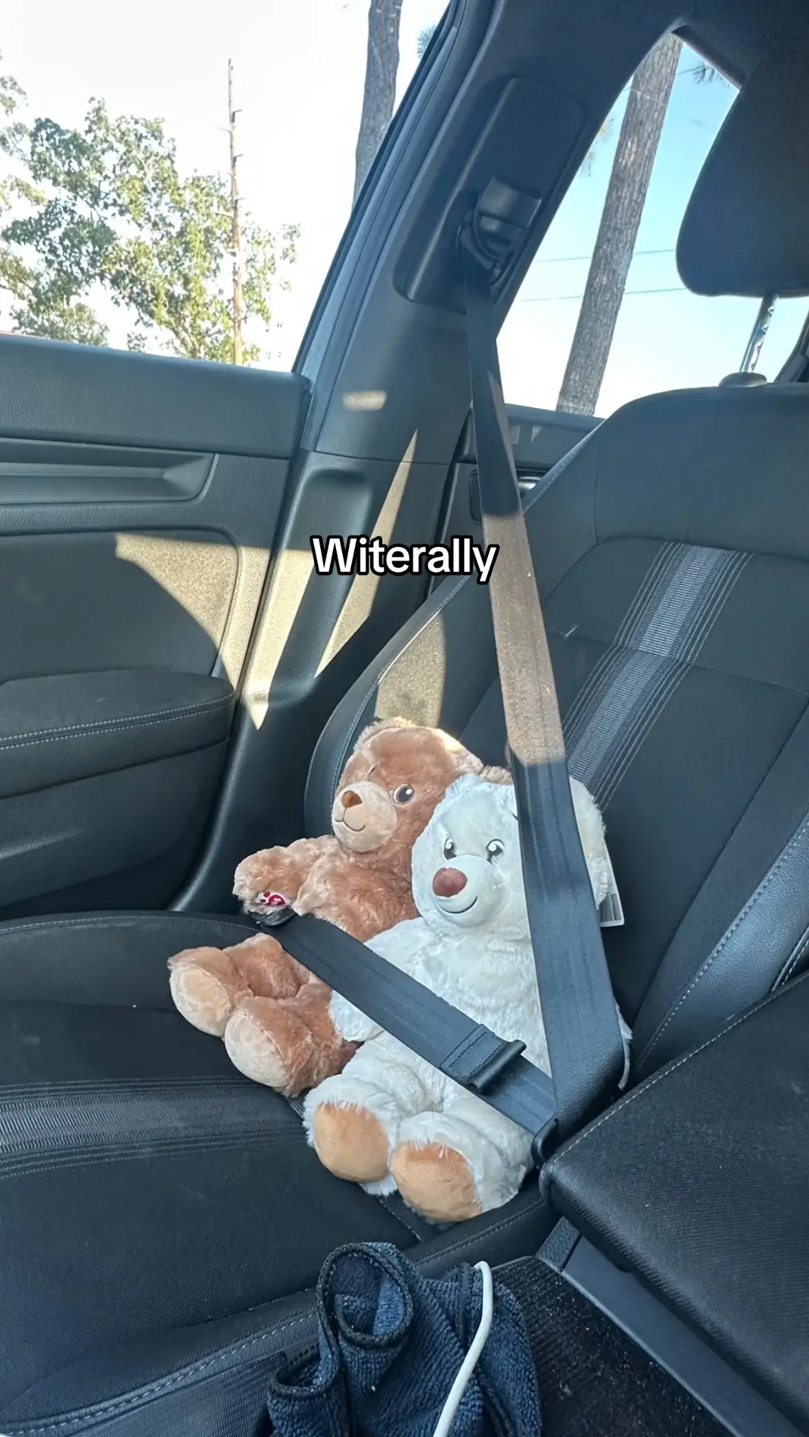 #fyp #fypシ #fypシ゚viral #viral #trending #cubs #bear #stuffedanimal #twins 