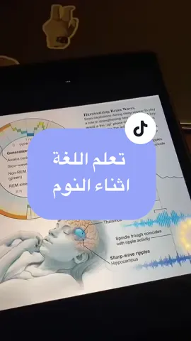 #تعلم_الانجليزية #الانجليزية #الانجليزية_للمبتدئين 