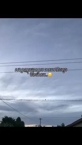 🙂#សុំបេះម្នាក់មួយមក🥺💖 #ខមិនbackមកចាំចូលទៅឲ្យ🔙💕 #fypシ゚ #24hours #ដៃគូរបង់ប្រាក់❤️🥀 #fyppppppppppppppppppppppp #foryoupage #zxycba #foryou #xuhuong 