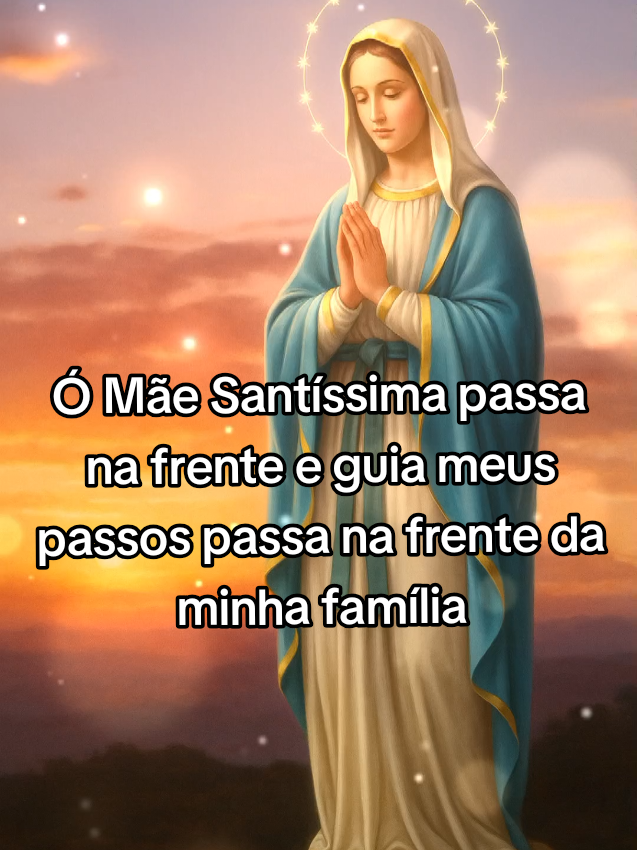 Ave Maria🙏🌹 Ó Mãe Santíssima passa na frente e guia meus passos passa na frente da minha família 🙏🙏🌹 #oração #Bênção #catolicos #avemaria #nossasenhora 
