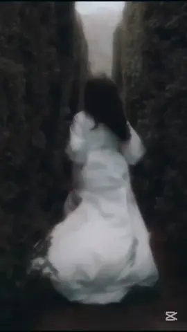 Tra Cent'anni - Orchestral © Copyright 2025 Domenico Farina 