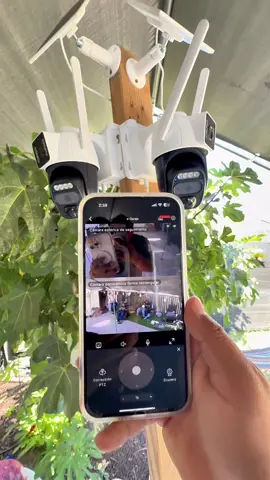 #camara #camaradeseguridad #seguridad #camaraconoanelsolar #viral 