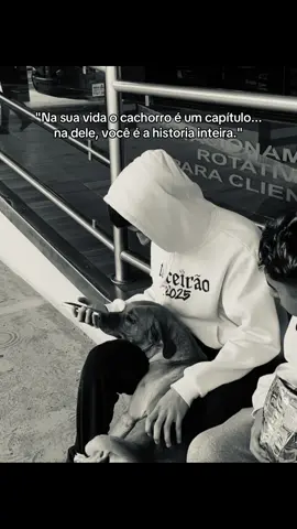 🐕 #frases #fyp 