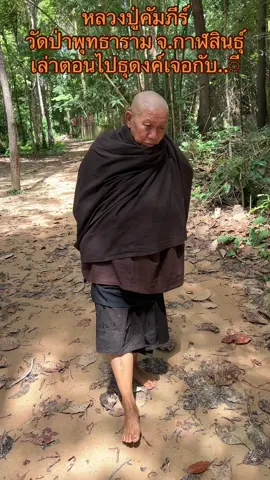 #เทรนด์วันนี้ หลวงปู่คำภีร์เล่าเรื่องไปธุดงเจอ...ี มาหลอกพระ#ผี #ผีเห็นผี #หลวงปู่คัมภีร์ #พระเครื่อง 