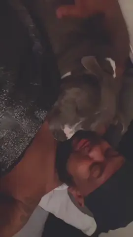 🥹🥹🥹🫶🏽🫶🏽 #ogizzle #oglemmehollaatchu #royalpupfamily👑 #roddyrodd89  