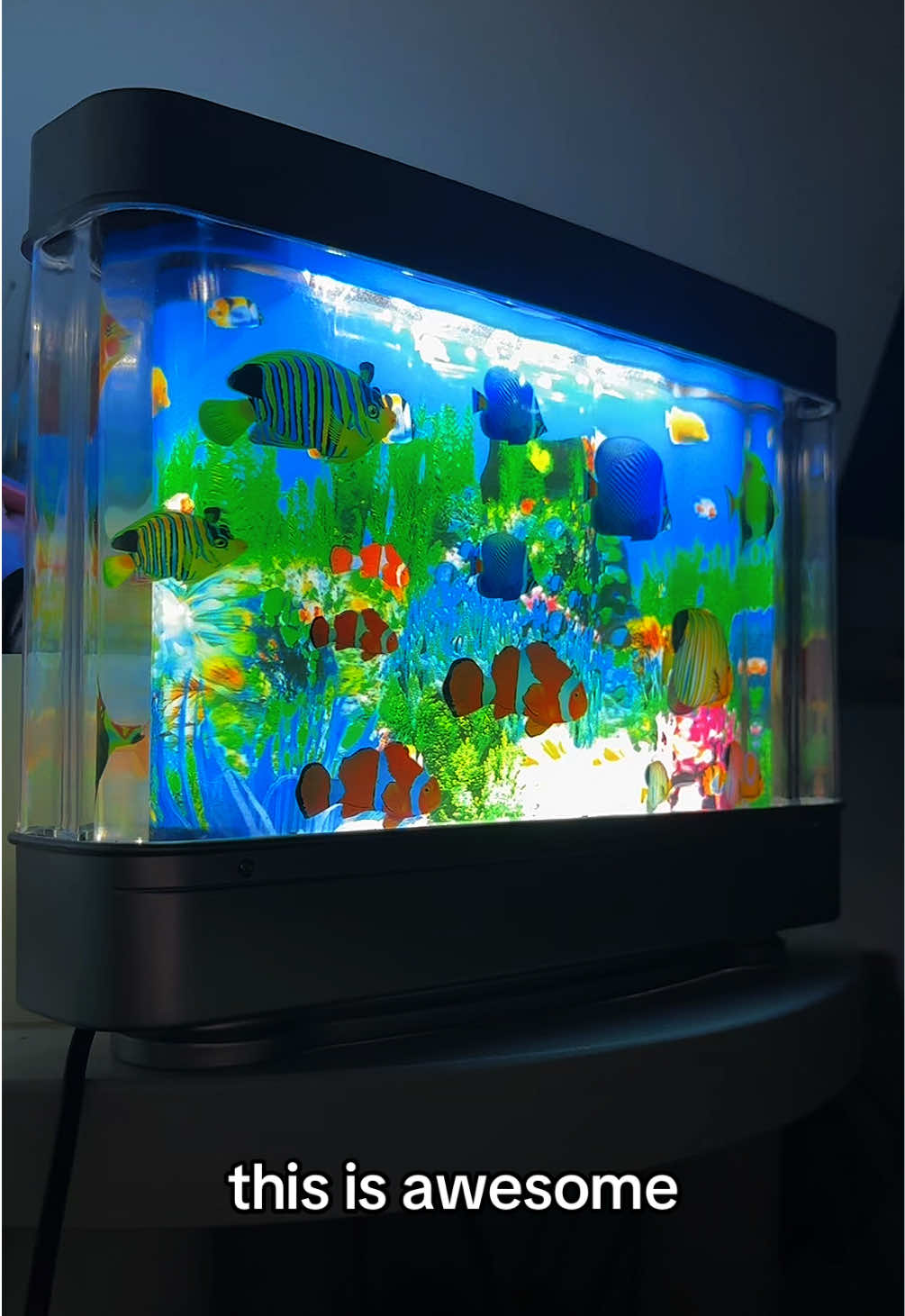 Dream come true #fyp #fishlamp 