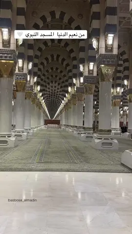##المدينه_خير_وسكينه #اكسبلورexplore #المدينة__المنورة 