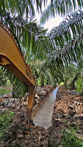 #lewatberanda #petanimuda #fyp 