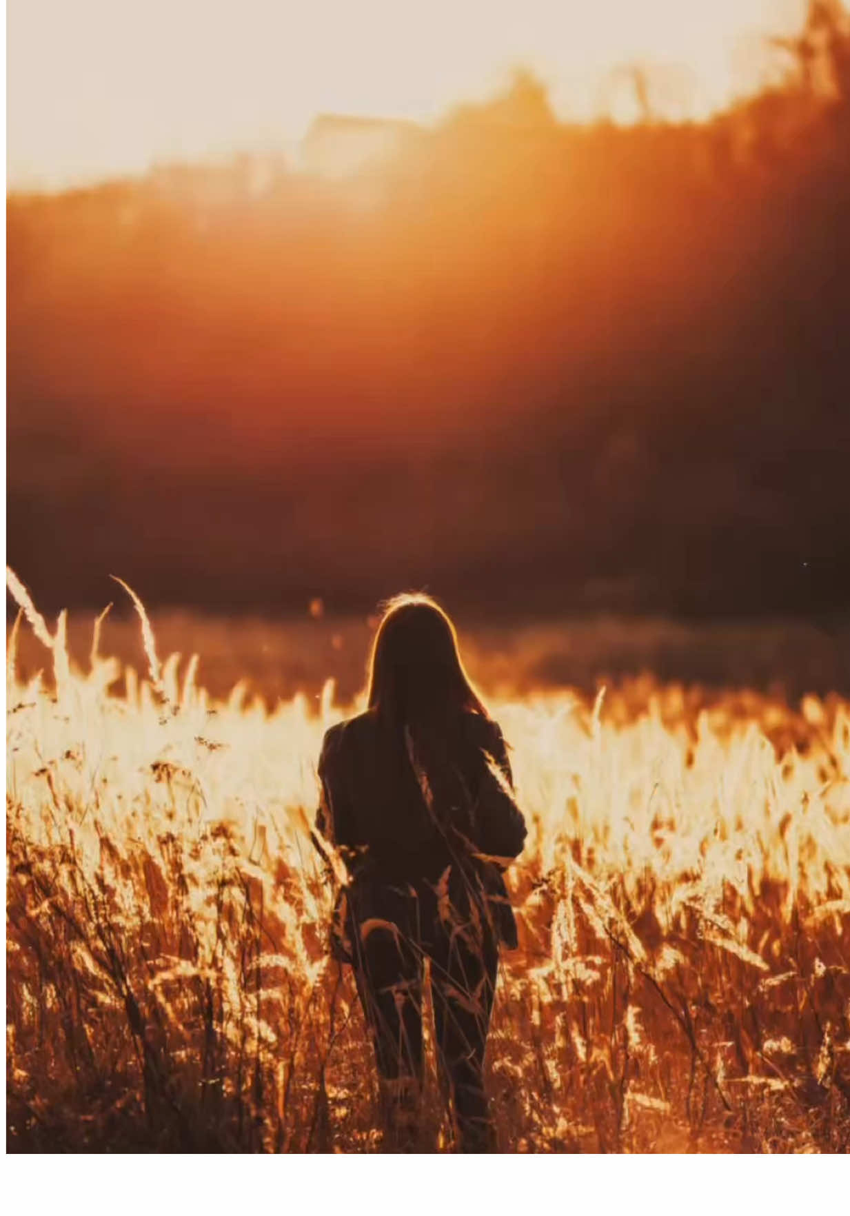 Thank you for everything God 🤍 ~ The older I grow, the more I realize that everything in my life needed to happen for me to be where I am today. And where I am now is a beautiful place. I am at peace with myself because I have known chaos. There is no longer a constant battle raging in my mind, one that always hurt me and the people I love. I can now see people for who they truly are, after all the times I was mistreated. I can recognise toxic patterns in others and in myself, because I once allowed them to remain in my life for far too long. I have learned to fully cherish the good moments, because loss has taught me how fragile everything really is. All the sorrows have made me grateful for the happiness I've known. All the failures have made me wiser. Every shattered dream has guided me towards a new dream, one even more beautiful than the last. Each time I questioned why things didn't work out the way I wanted, I was led to something far better than I could have imagined. That has taught me to accept life a little more, to trust the process a little more, and to let go of the need to control everything. And in that acceptance, I found meaning to life again. 143. • { Written By: Aysha Rashid } • Join The 143 Movement to help continue the spread of love and positivity within this beautiful world that we all live in. 🌎 • • • #Love #jesuslovesyou #godlovesyou #perspective #inspireothers #mindset #positivity 