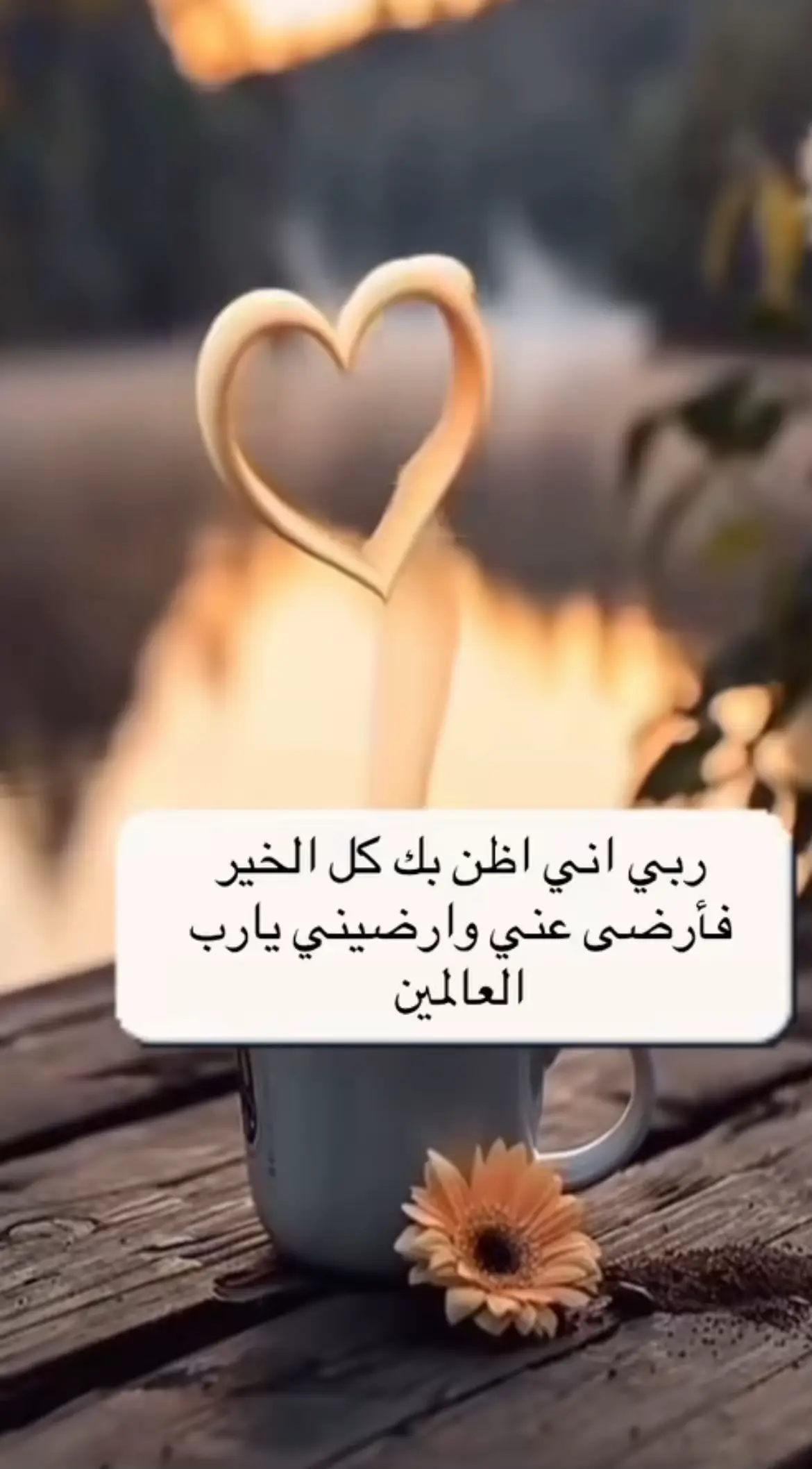 #راحة_البال_وهدوء_النفس🥀🖤 #قران_كريم #tik_tok #ماهرالمعيقلي #سعود_الفايز_تلاوه_آيات_من_القرآن 