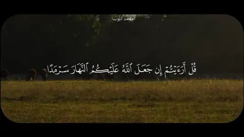 #quran #قران_كريم #تلاوة_خاشعة #محمد_ايوب 