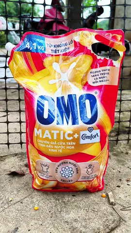 Nước giặt Omo Matic 4.1kg lưu hương trên áo quần lâu #nuocgiat #omomatic #nuocgiatxa #xuhuong #viral 