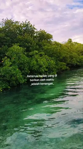 masyallah😎😇🥰 segar bgt pemandangannya #hutanmangrove #belitungisland #leebongisland #foryoupage 