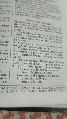 leyendo san Mateos cp1