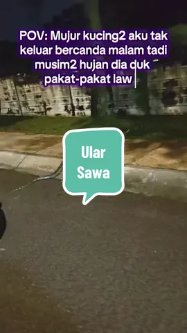 Ular sawa dalam taman