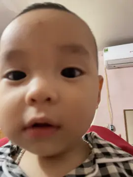 Đang ngắm các vợ -))) #flopcc #xuhuong #tiktok 