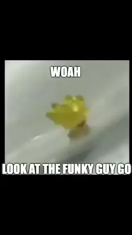People dont think it be like this but it do. 