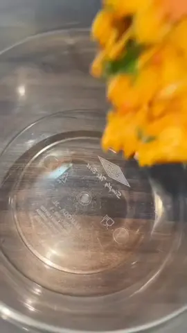 #onthisday native jollof rice #fyp #tending #viralvideos #foodtikok 