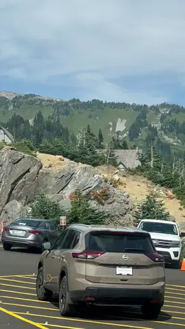 #🌲🌲🪵🪾✨☀️☃️🗻🏔️