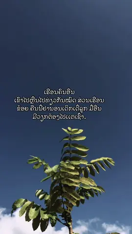 ນີ້ເເລະເຮື່ອນຂ້ອຍ#story #Jingjo #ຟິດດດດ✨ #ຄໍາຄົມ #ຄວາມຮູ້ສຶກ 