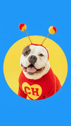 Hack de #Photoshop para hacer un recorte circular 🤯
