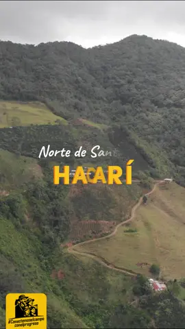 Café Don Hernán: una tradición que nace en las montañas de Hacarí y se cultiva con amor y dedicación. #CaféDonHernán #Catatumbo #TradiciónCafetera#cafeteros #federacionnacionaldecafeteros 