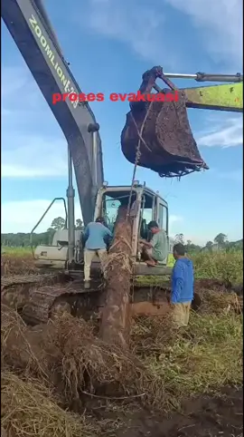 @thamrin.bae #evakuasiexcavator #utamakankeselamatan #operatorpunyacerita #fypage 