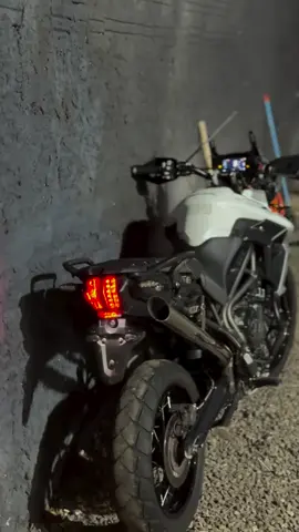 T8 ®️ 🥇 🤍 #tiger800#vaiprofycaramba#explore#244#tiger