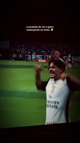 8️⃣finalmentee  #sccp #sccp #foryou #garro #copadobrasil 