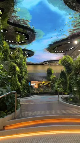 All airports should be as wonderful as Singapore’s  #changiairport #singapore #fyp 