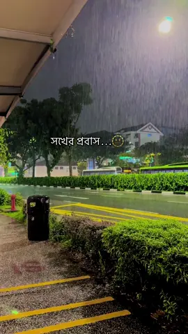 তুমি প্রবাসী মানেই,তুমাকে সব কিছুই হজম করে থাকতে হবে প্রমানিত🤐#capcut #foryou #সিংগাপুর🇸🇬_প্রবাসি🇧🇩 #bangladesh🇧🇩 
