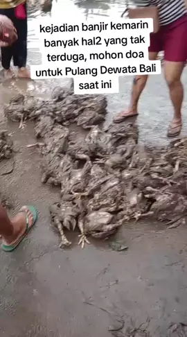 #Bali  #banjir  semoga lekas sembuh  #indonesia🇮🇩 