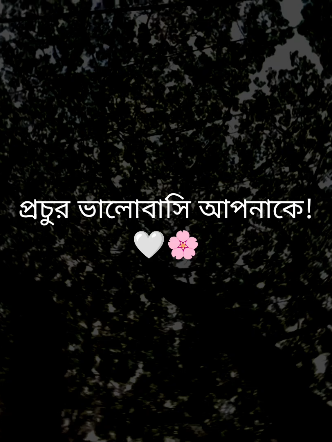 প্রচুর ভালোবাসি আপনাকে! 🤍🌸#fypシ゚ #foryou #status #tibro04 #unfreezemyacount 