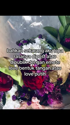 #fyp #fyppppppppppppppppppppppp #ceksb🤔 #justkonten #chelseacuex 