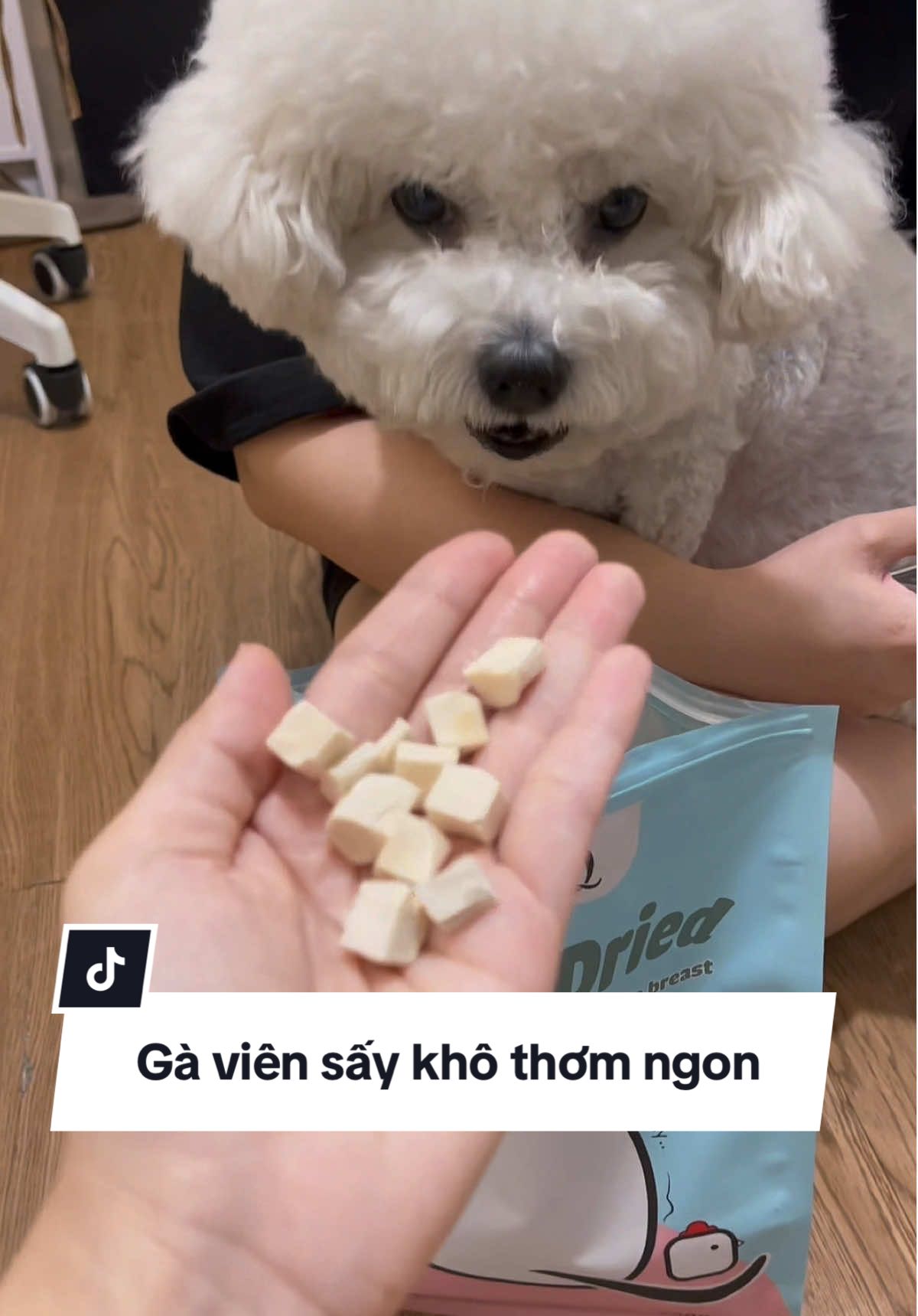 Gà viên sấy khô thơm ngon bé thích mê #thucung #thucanthucung #chamsocthucung #thucanchocho #thucanchomeo 