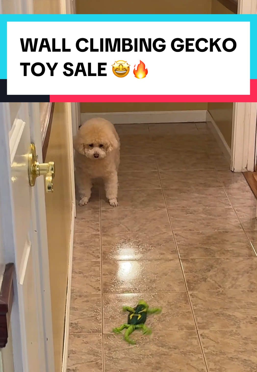 This is so addicting to play with 🤣 #christmasgiftideas #giftideas #toy #toys #giftforkids 