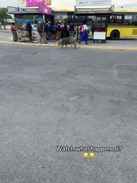 😂😂😂😂#1millionviews #likefolllowsharecomment #fyp #watchtillend #growmyaccount 